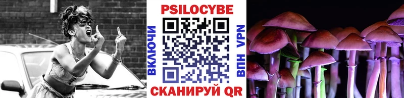 Галлюциногенные грибы Cubensis  сколько стоит  Рославль 